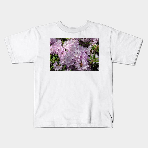 Rhododendron cluster Kids T-Shirt by HazelWright